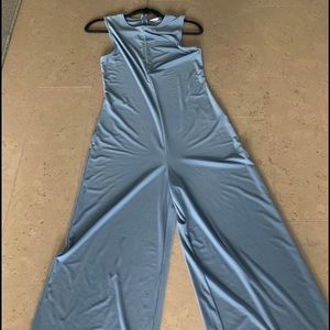 Blue Babaton, Aritzia jumpsuit